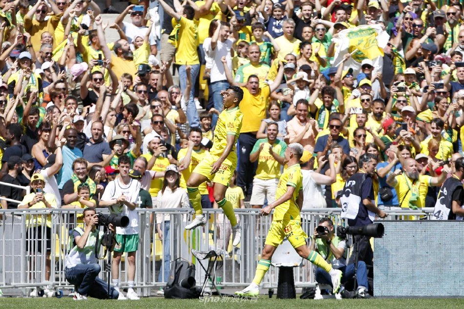 这种不懈的 这种不懈的