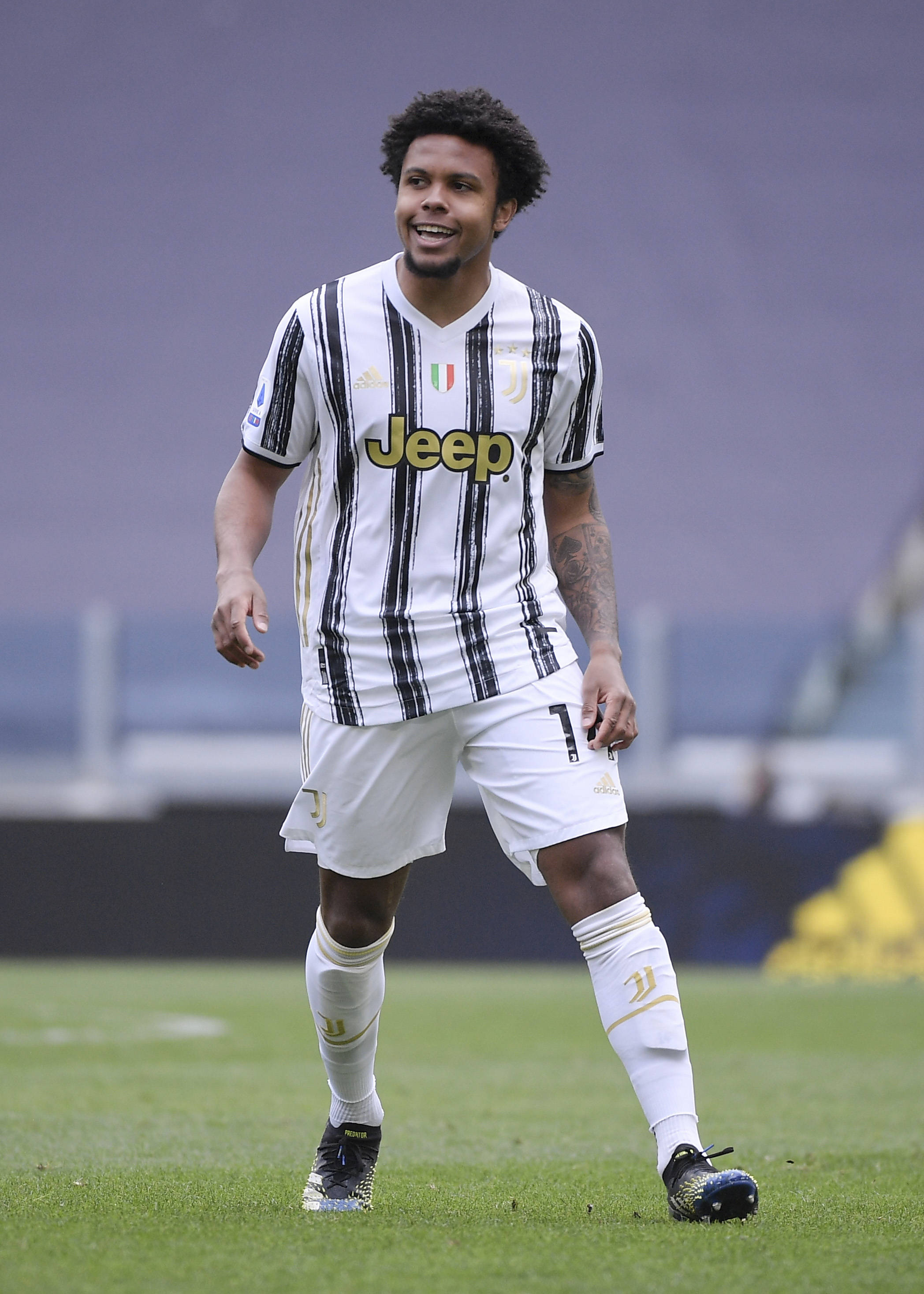 不仅确保了 不仅确保了